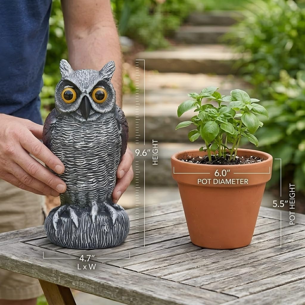 3-Pack Owl Decoys for Bird5