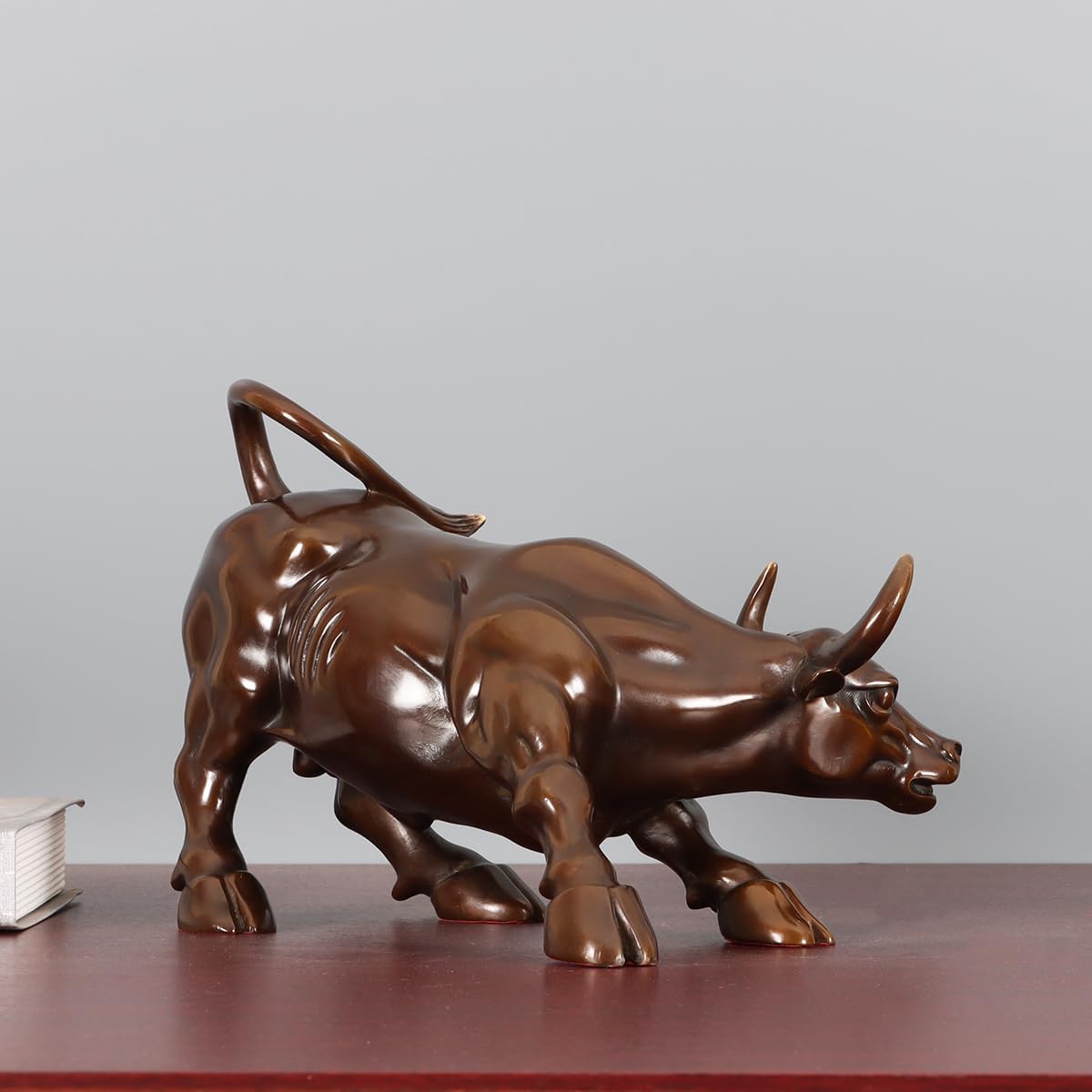 Bronze Wall Street Bull14