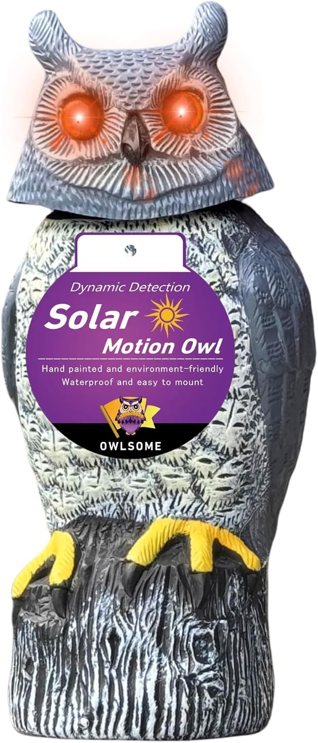 Solar Owl with Colored Flashing Eyes, Rotating Head, Hoot Sound1