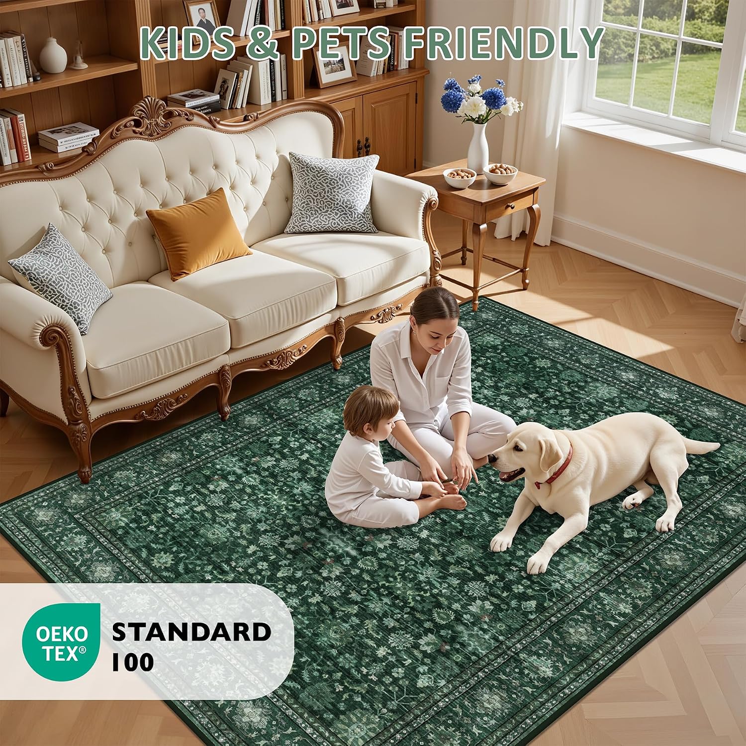 5x7 Area Rug9