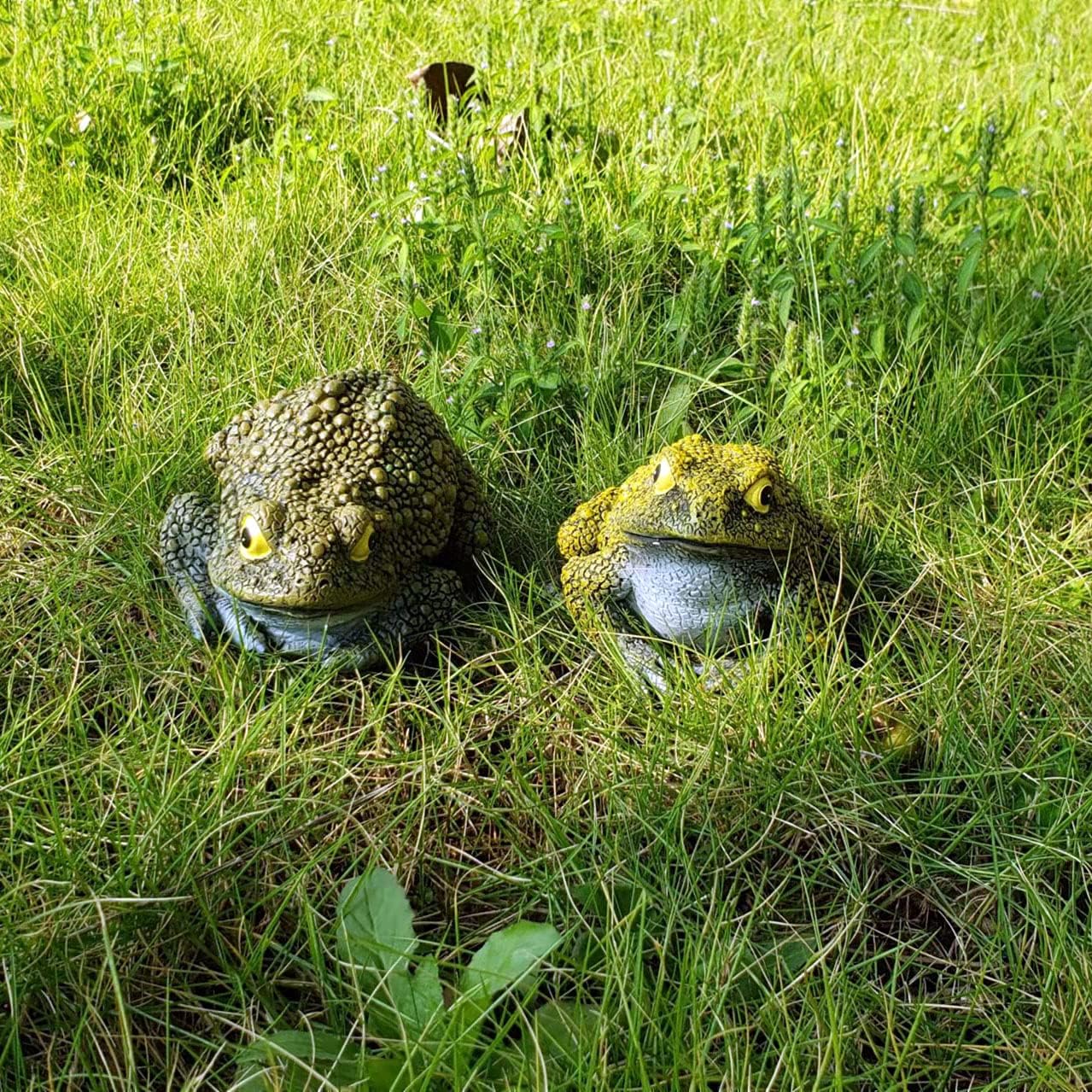 Frog Toad Sculp6