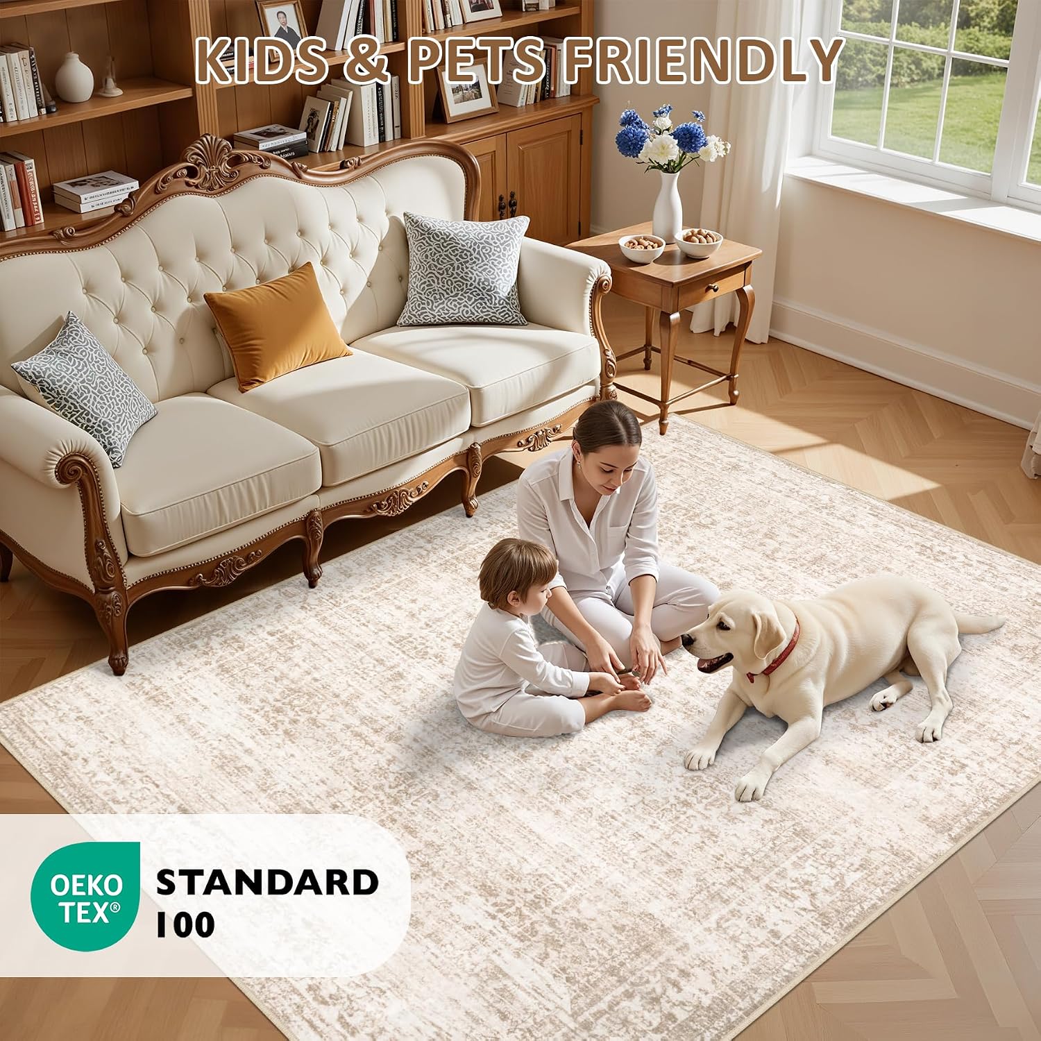 Rugs Living Room9